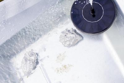 Cecilie Skov, Pool, 2018. Aluminium cast oysters, salt water, seaweed, solar pump, wheel barrows.  