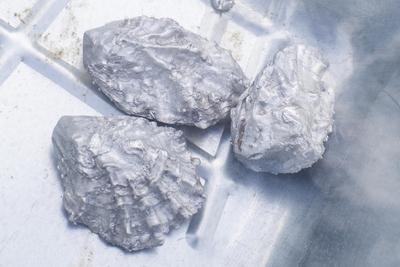 Cecilie Skov, Pool, 2018. Aluminium cast oysters, salt water, seaweed, solar pump, wheel barrows.  