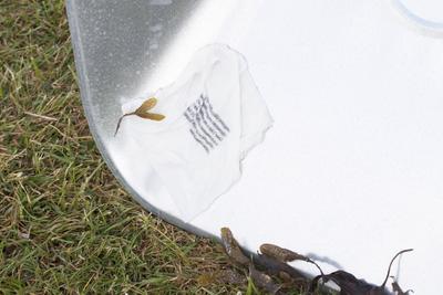Cecilie Skov, Pool, 2018. Aluminium cast oysters, salt water, seaweed, solar pump, wheel barrows.  