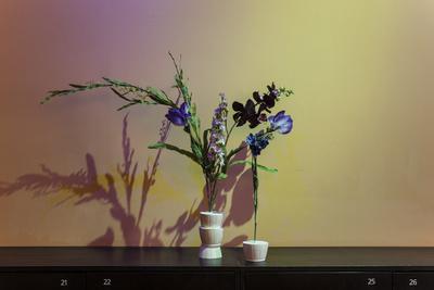 Cecilie Skov, Arrangement, 2015. Prop flowers from The Royal Theatre, plaster, spot lights. Photo: Rebecca Krasnik. 