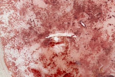 *Bittersweet*, 2019. Epoxy resin (LKR), glass fibre, leaves, bubble wrap, road salt, copper coin. Ø: 130 cm. Photo: Kåre Frang.