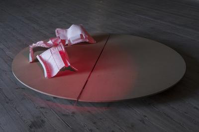 Rehearsal, 2016. Prop flowers from The Royal Theatre, plaster, spotlight, revolving stage in MDF. Photo: David Stjernholm.  
