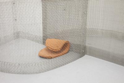 Spoon Spoon, 2022. 
Steel, ceramic, silicone, aluminum.
