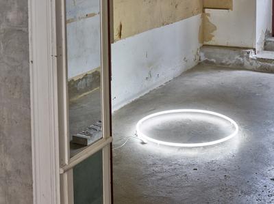 Law, 2020. Neon. Ø: 80cm. 
