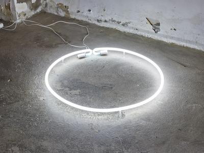 Law, 2020. Neon. Ø: 80cm.
