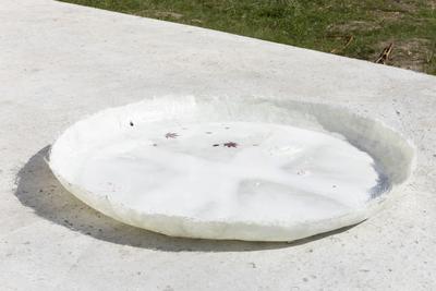 Bittersweet, 2019. Epoxy, glass fibre, leaves, bubble wrap, road salt, copper coin. Ø: 130 cm. 
