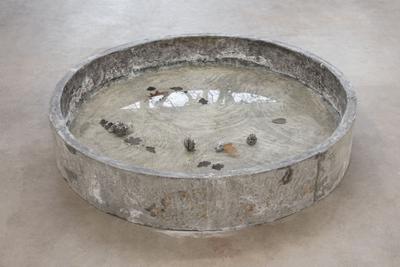 Kar, 2018. Concrete, salt water, oak leaves. Ø: 160cm, h: 26cm.
