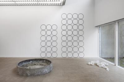 Installation view.
