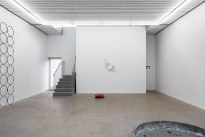 Installation view.
