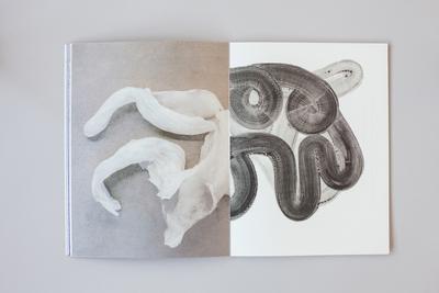 Wet with Dew, 2020. w. Moa Alskog. Edited by Åbäke and Ellermeda. Published by Emancipa(t/ss)ionsfrugten. 
